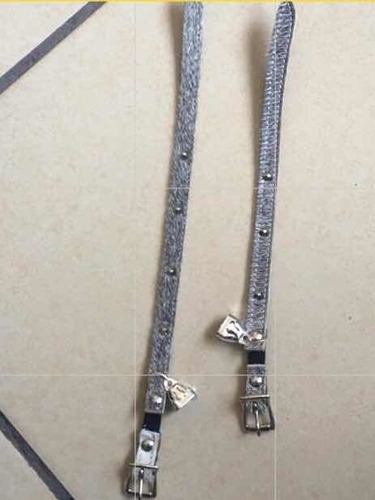 Collar De Picos Para Gato C/ Resorte Y Campana