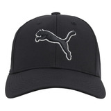 Gorra De Béisbol Puma Evercat Dillon Stretch Fit Unisex