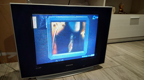 Televisor 21 Pulgadas Samsung 