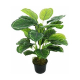 Planta Artificial Calathea Con Maceta Premium 60 Cms