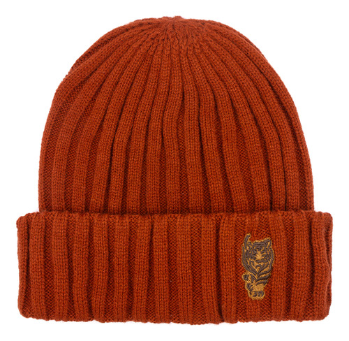 Gorro Cuff Beanie Hombre Aldo Conti (h9757)