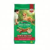 Dog Chow Adultos Médios E Grandes Carne E Arroz 1kg