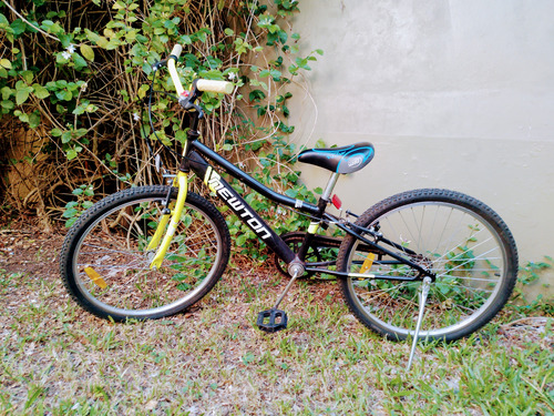 Bicicleta Newton Grow Rod. 20