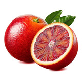 Naranjo Sanguíneo De Fruto Rojo