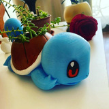 Squirtle Maceta Pokemon