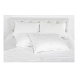 Almohada Inteligente Diaz Home Clásico Clásica 65cm X 14cm Color Blanco Por 4 Unidades