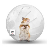 Pelota Bola Esfera Rueda/ Para Roedores-hamster-transparente