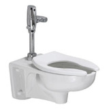 Wc A Muro P/fluxómetro 6l American Standard Sky Afwall