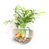 Decoração De Tanque: Wall Home Hanging Mount Aquariums Goldf