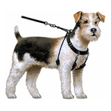 Arnes Lupi + Manual De Adiestramiento Perros Collar Pretal