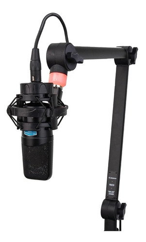Soporte Brazo Microfono Condenser Alctron Ma616 Xl 