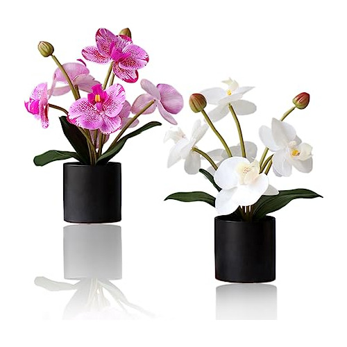 2 Pzas Orquídeas Phalaenopsis Artificiales Blancas Y M...