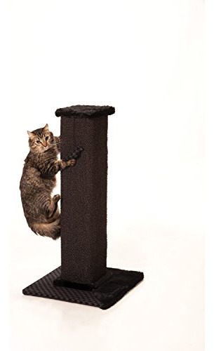 Max Y Marlow Scratch Post Torre