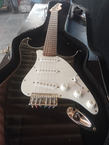 Guitarra Gianini Mod Strato  X Basic, Semi Nova Com Case 