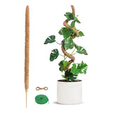 2 Pieces Flexible Moss Pole, Suitable For Gifts 2024