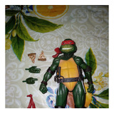 Tortugas Ninja , Raphael