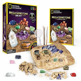 Juguete Ciencia National Geographic Mega Kit De Excavación 