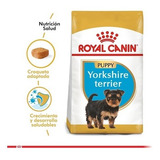 A Todo Chile Despacho - Yorkshire Terrier Junior 1kg.