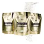 Creatina Monohidratada Creapure Gold Nutrition x 3 unidades | Envío gratis