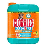 Limpiador Líquido Cloralex Mascotas 10 L Msi
