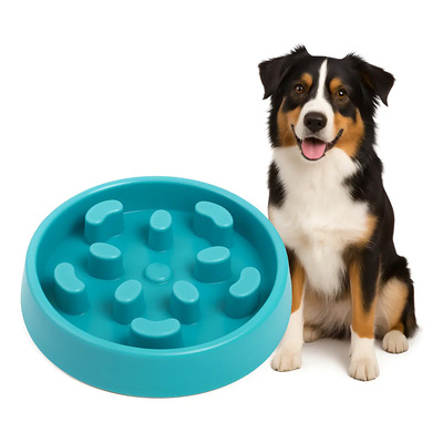 Plato Comedero Para Perro Interactivo Comida Lenta Mr Wuff Color Azul | MercadoLibre