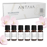 Kit 6 Aceites Esenciales Florales Aromaterapia 100% Natural