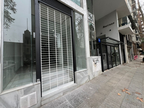 Venta Local Comercial Rentado Doble Altura Cordón Sur Zona Diseño - Imagen 3