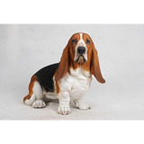 Hi-line Gift Ltd Perro - Basset Hound - Estatua Grande