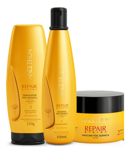 Repair Aneethun - Tratamento Completo (3 Produtos)