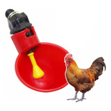 Bebedero Automático Para Codorniz, Pollo, Gallo, 25 Piezas