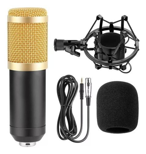 Microfone Estúdio Profissional Bm800 Condensador 