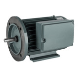 Motor Czerweny Monofásico 1,5 Hp 1500 Rpm Alto Par Bridado B35