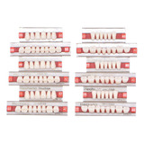 Rzjzgz 84 Unids Dental Resina Sintética Dentadura Diente 3 S