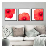 Quadro Tela Canvas Trio Hibisco 80x80 Com Moldura