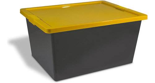 Caja Organizadora Con Broches Forte 55l Gris-amarillo