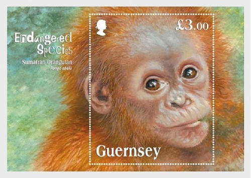 2014 Fauna En Peligro- Orangután- Guernsey (bloque) Mint