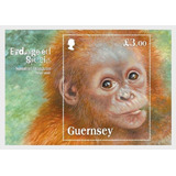 2014 Fauna En Peligro- Orangután- Guernsey (bloque) Mint