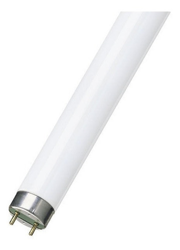 Pack X25 Tubo Fluorescente 36w T8 Luz Calida 2400lm 1.2mt