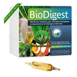 Prodibio Biodigest Bio Digest Bio-digest (1 Ampola)