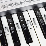 Piano And Keyboard Music Note Full Set Stickers For White An