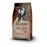 Vital Can Balanced Cordero X 15 Kg