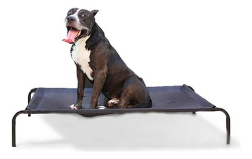 Cama Elevada Para Perros Poli Pets