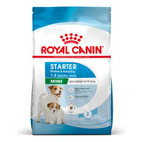 Royal Canin Starter Mini Small Petit Raza Chica 1.14 Kg 