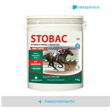 Stobac Suplemento Vitaminico Mineral Training X 4kg + A