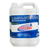 Limpa Bordas Para Tratamento De Piscina Galão 5litros Clorup