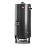 Termotanque Comercial Rheem A Gas 300 Litros Cta