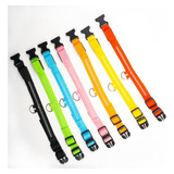 Pack X3 Collar Luz Led Para Perro/gato En 7 Colores 4 Talles