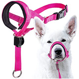Goodboy - Collar De Adiestramiento Para Perros Que Sujeta Ho
