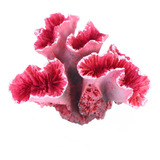 Falso Coral Decoración De Acuario Simulación Plantas