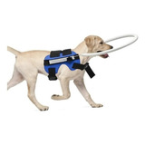 Accesorios Para Mascotas Collar Para Perros Ciegos